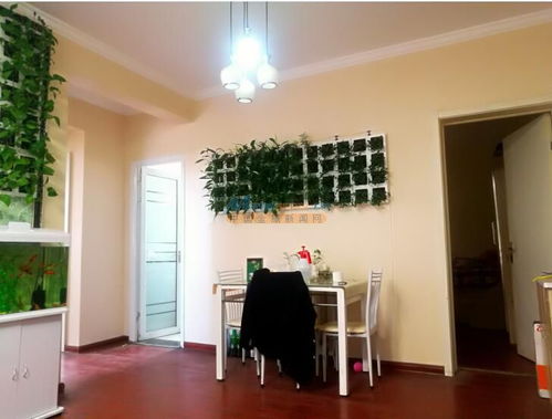 河南智能綠植項(xiàng)目加盟推薦 河南潤庭裝飾工程